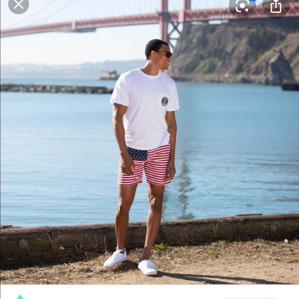 Chubbies Mens 'Mericas American Flag Shorts
